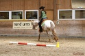 28-ApHC OT_117